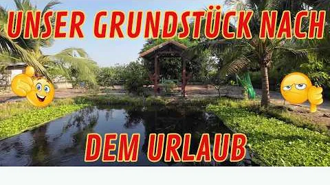 Wie sieht unser GRUNDSTÜCK nach meinem URLAUB aus 😱 Ein SCHWEIZER AUSWANDERER in THAILAND