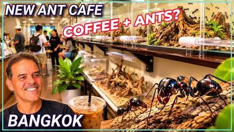 Thumbnail from the newest video by Global Travel Mate