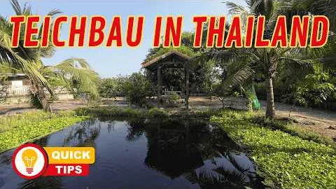 NATUR- oder FOLIENTEICH - Welche FISCHARTEN für den GARTENTEICH in THAILAND  🦈FISCHTEICH in THAILAND