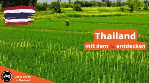 Thailand mit dem Roller entdecken #thailand #roller #entdecken